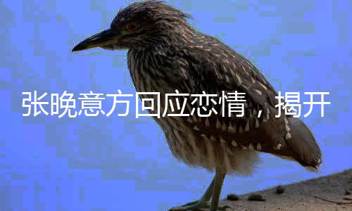 張晚意方回應(yīng)戀情，揭開神秘面紗，探尋真實(shí)情感之旅