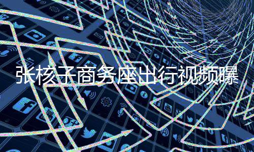 張核子商務(wù)座出行視頻曝光，公眾聚焦出行特權(quán)與公正議題