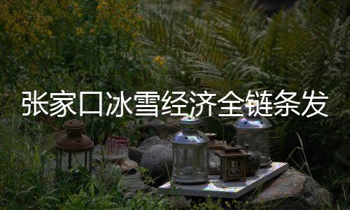 張家口冰雪經(jīng)濟全鏈條發(fā)展  冬奧場館利用成效顯著