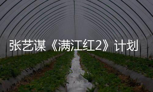 張藝謀《滿江紅2》計劃下半年開拍 明年上映