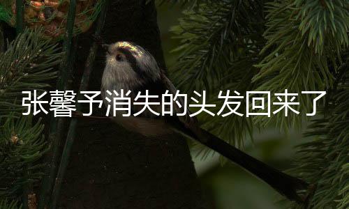 張馨予消失的頭發(fā)回來(lái)了，揭秘秀發(fā)重生的秘密
