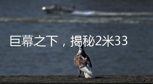 巨幕之下，揭秘2米33巨人演員的日?！?米床穿59碼鞋