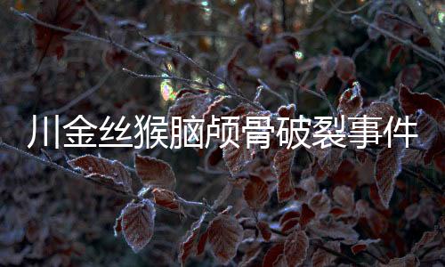 川金絲猴腦顱骨破裂事件，研究者的關(guān)注與尋求解決之道