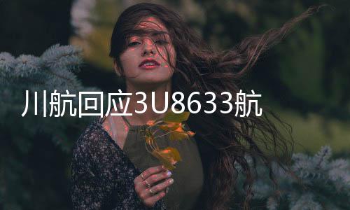 川航回應(yīng)3U8633航班備降返航事件