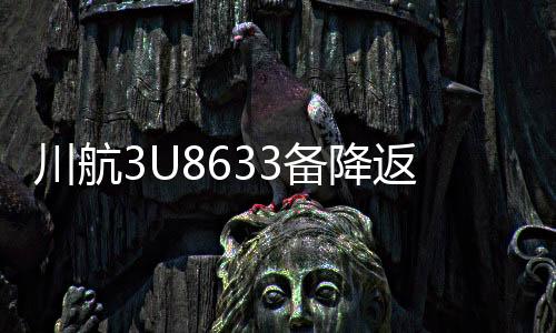川航3U8633備降返航事件，一場驚心動(dòng)魄的航空奇跡