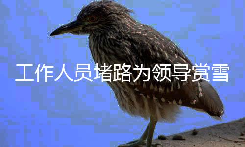 工作人員堵路為領(lǐng)導(dǎo)賞雪引發(fā)爭議，官方回應(yīng)