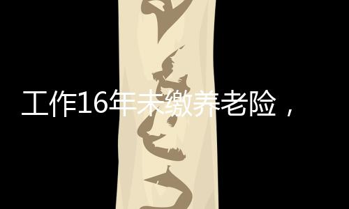 工作16年未繳養(yǎng)老險(xiǎn)，勞動(dòng)者的權(quán)益與未來(lái)的保障