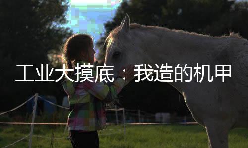 工業(yè)大摸底：我造的機(jī)甲藏不住了