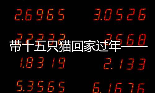 帶十五只貓回家過年——?dú)w鄉(xiāng)旅途上的愛心使者故事