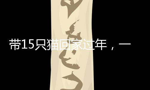 帶15只貓回家過年，一場溫馨與責(zé)任的旅程