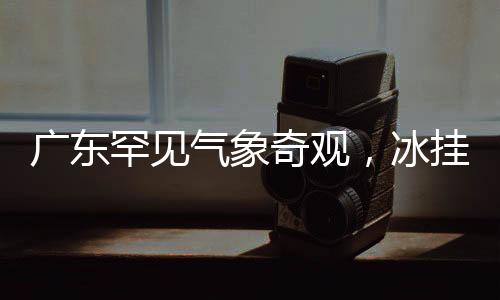 廣東罕見氣象奇觀，冰掛霧凇現(xiàn)身，寒冷成就自然之美