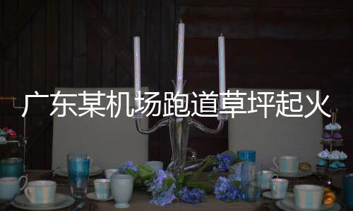 廣東某機場跑道草坪起火系謠言，真相揭秘與社會警示并重
