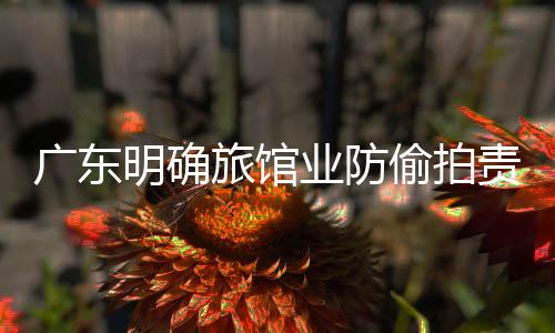 廣東明確旅館業(yè)防偷拍責任