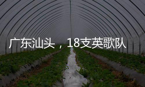 廣東汕頭，18支英歌隊同臺共舞迎新春，喜慶氛圍燃爆全場