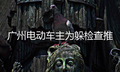 廣州電動車主為躲檢查推隔離墩逃離，事件背后引發(fā)深思