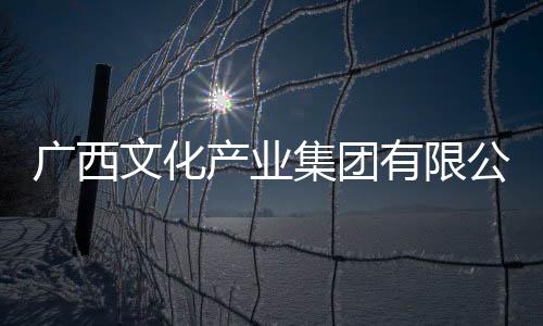 廣西文化產業(yè)集團有限公司黨委書記黃科宏接受審查調查
