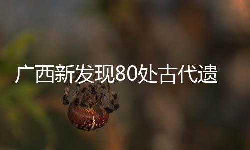 廣西新發(fā)現(xiàn)80處古代遺址和遺物分布點