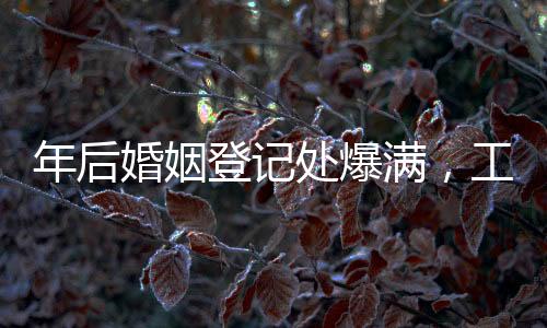 年后婚姻登記處爆滿(mǎn)，工作人員回應(yīng)揭示忙碌背后的原因