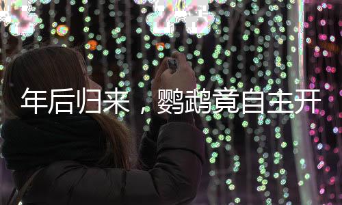 年后歸來，鸚鵡竟自主開籠拆家，主人驚嘆不已