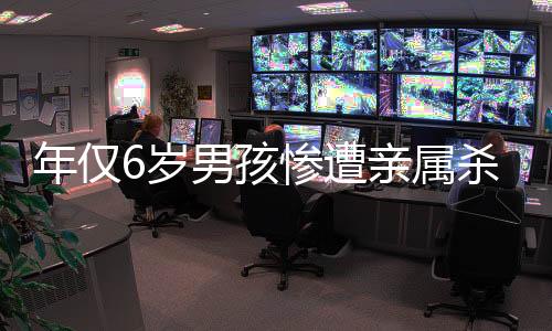 年僅6歲男孩慘遭親屬殺害事件引起社會(huì)關(guān)注與反思