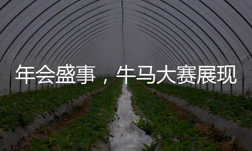 年會盛事，牛馬大賽展現(xiàn)獨(dú)特魅力，歡樂氛圍點(diǎn)燃全場熱情