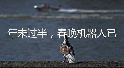 年未過(guò)半，春晚機(jī)器人已引熱潮，全民cos新潮涌