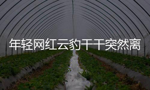 年輕網紅云豹干干突然離世，年輕生命的凋零引人深思