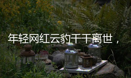年輕網(wǎng)紅云豹干干離世，生命無常令人扼腕