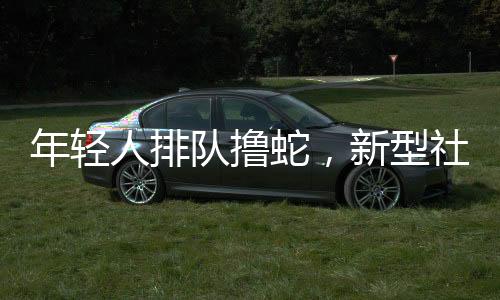 年輕人排隊(duì)擼蛇，新型社交活動(dòng)掀起熱潮