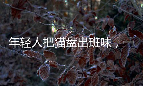 年輕人把貓盤出班味，一種新型文化現(xiàn)象的觀察與解讀