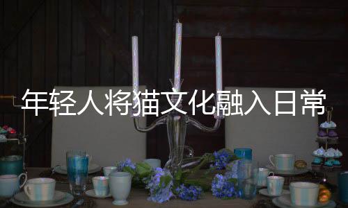 年輕人將貓文化融入日常，掀起一股獨(dú)特的貓盤出班味潮流