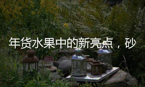 年貨水果中的新亮點(diǎn)，砂糖桔并非C位