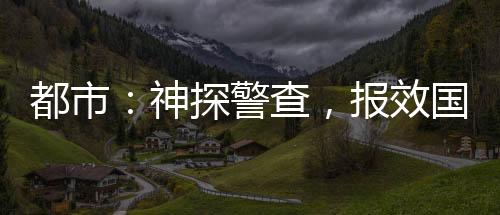 都市：神探警查，報效國家