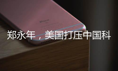 鄭永年，美國打壓中國科技是愚蠢的