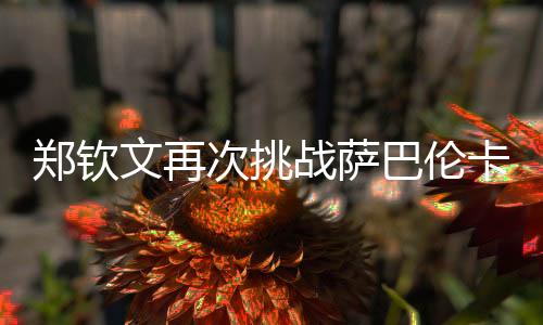 鄭欽文再次挑戰(zhàn)薩巴倫卡，勝算幾何？