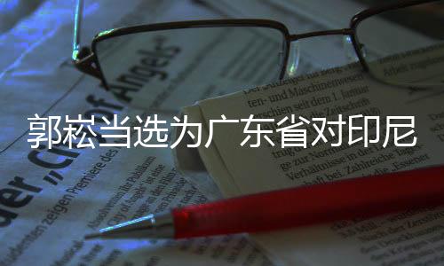 郭崧當(dāng)選為廣東省對印尼貿(mào)易促進(jìn)會第一屆理事會會長