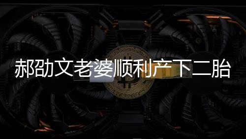 郝劭文老婆順利產(chǎn)下二胎，家庭迎來(lái)新成員喜訊