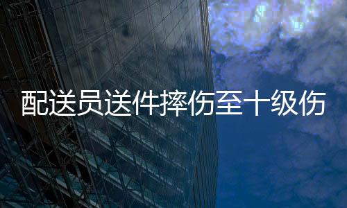配送員送件摔傷至十級(jí)傷殘，起訴平臺(tái)——維護(hù)勞動(dòng)者權(quán)益的正義之戰(zhàn)