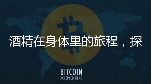 酒精在身體里的旅程，探究酒精對(duì)身體的影響