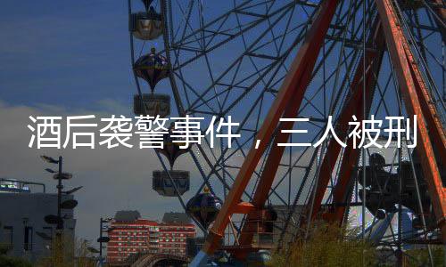 酒后襲警事件，三人被刑拘，警示社會必須尊重法律