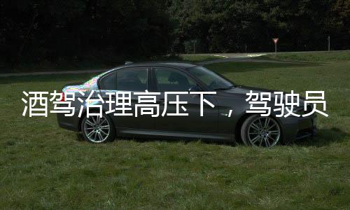酒駕治理高壓下，駕駛員巧妙躲查終進派出所