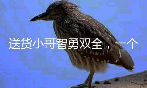 送貨小哥智勇雙全，一個月兩次識破現(xiàn)金騙局，贏得社會贊譽