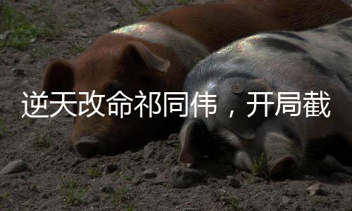 逆天改命祁同偉，開局截胡鐘小艾