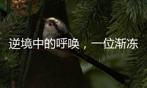 逆境中的呼喚，一位漸凍癥女生的求助故事與蔡磊的回應(yīng)