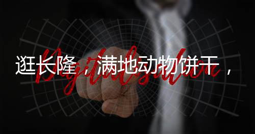 逛長隆，滿地動物餅干，開啟奇幻之旅