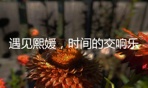 遇見熙媛，時(shí)間的交響樂章