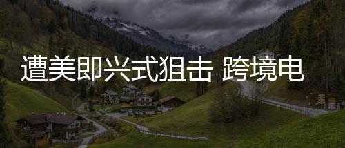 遭美即興式狙擊 跨境電商找到B計(jì)劃