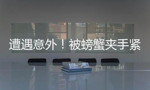 遭遇意外！被螃蟹夾手緊急求助，消防部門迅速響應