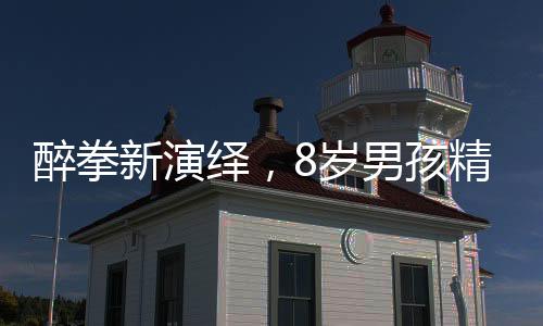 醉拳新演繹，8歲男孩精彩拜年
