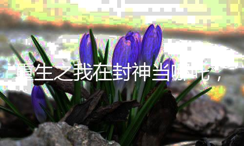 重生之我在封神當(dāng)哪吒，狂懟眾神